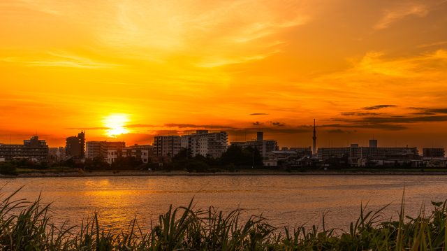 sunset